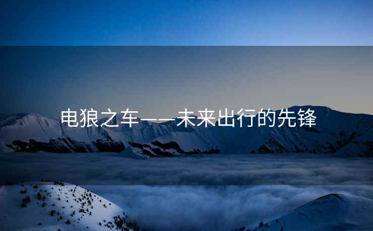 电狼之车——未来出行的先锋