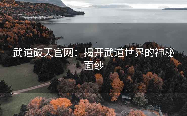 武道破天官网：揭开武道世界的神秘面纱