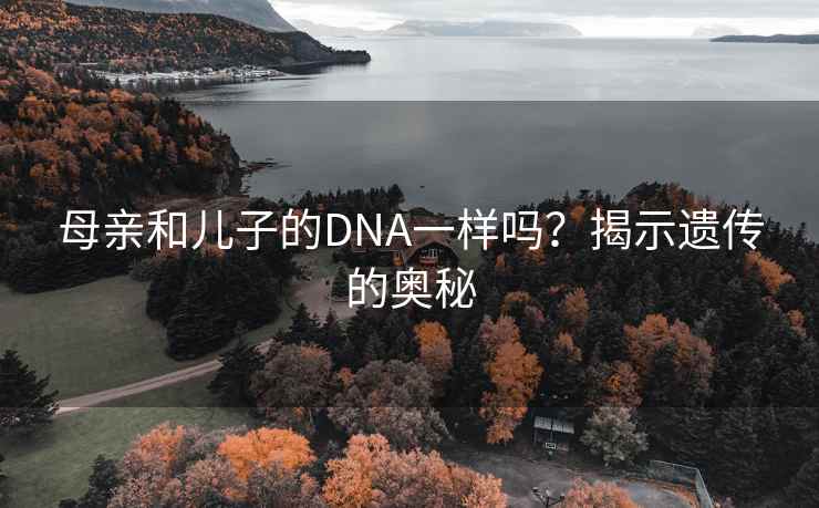 母亲和儿子的DNA一样吗？揭示遗传的奥秘