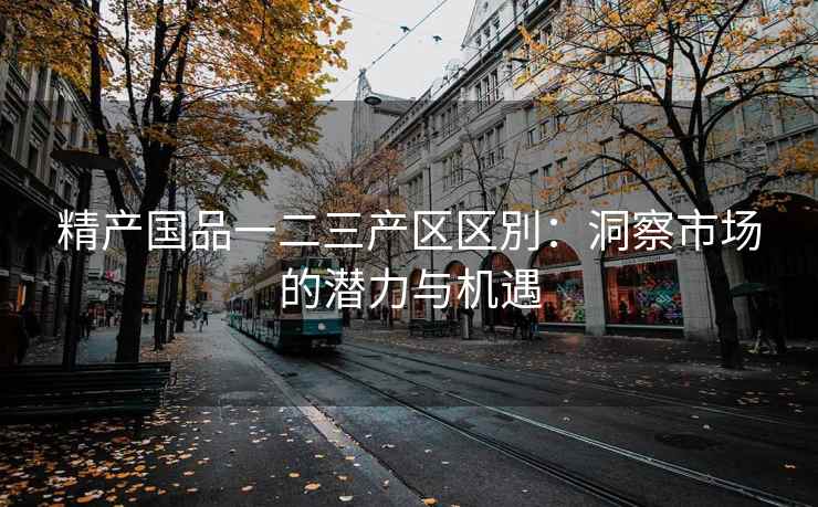 精产国品一二三产区区別：洞察市场的潜力与机遇