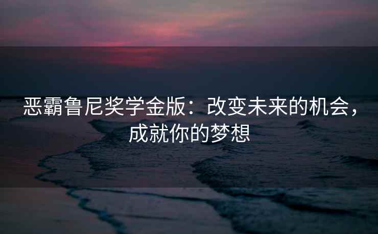 恶霸鲁尼奖学金版：改变未来的机会，成就你的梦想