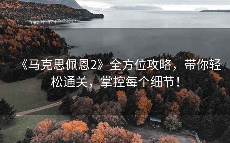 《马克思佩恩2》全方位攻略，带你轻松通关，掌控每个细节！